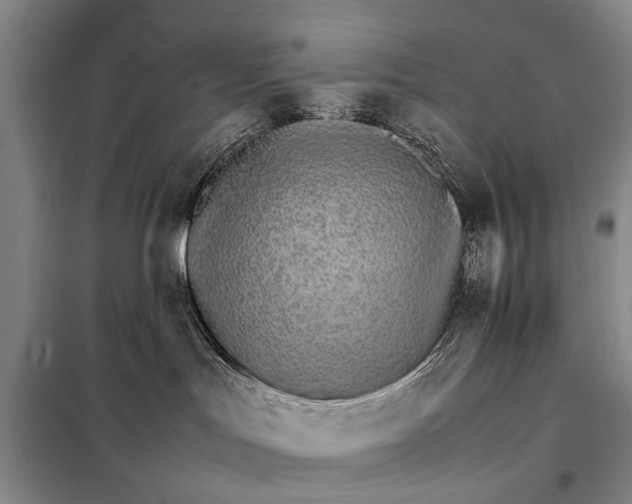 X0000098040047200804181308