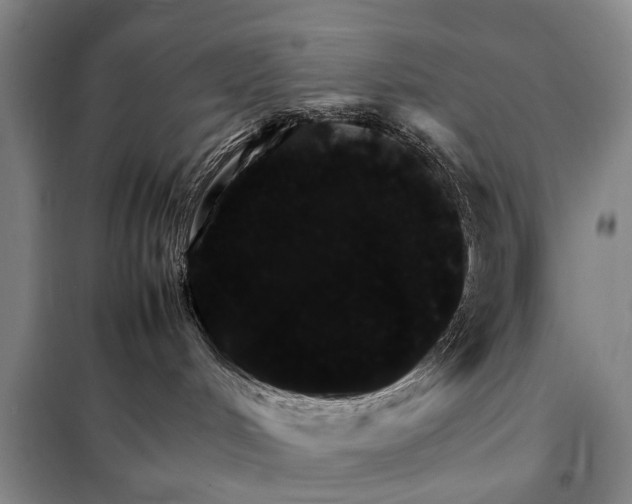 X0000098040048200804181308