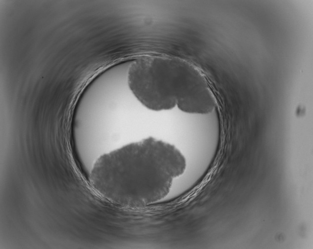 X0000098040049200804181307