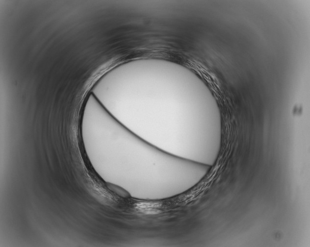 X0000098040051200804181307