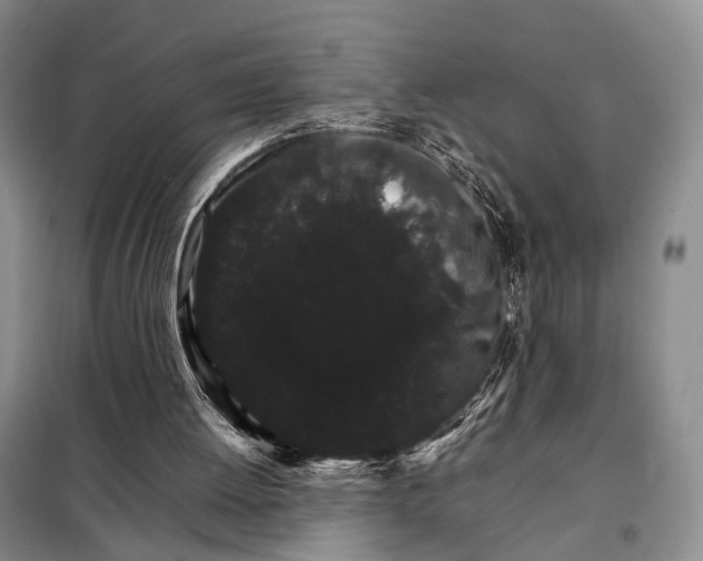 X0000098040052200804181307