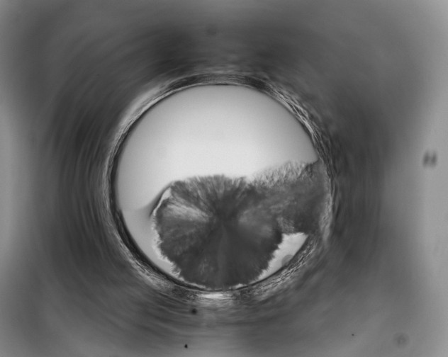 X0000098040053200804181307