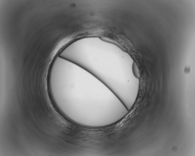 X0000098040054200804181307