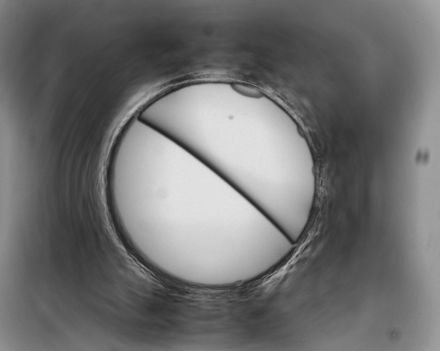 X0000098040055200804181307