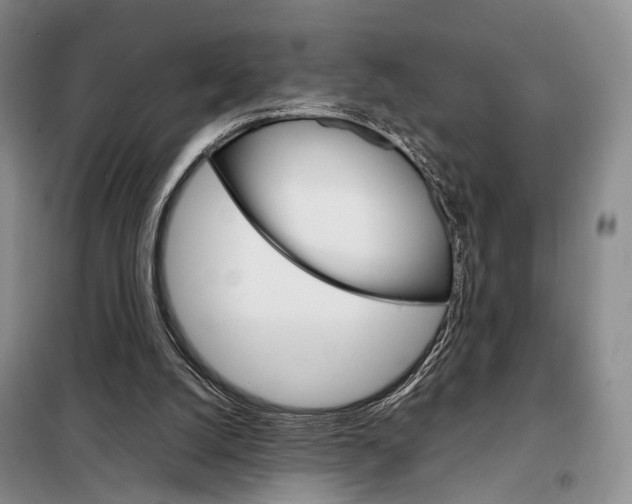 X0000098040056200804181307