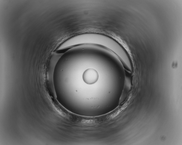 X0000098040057200804181307