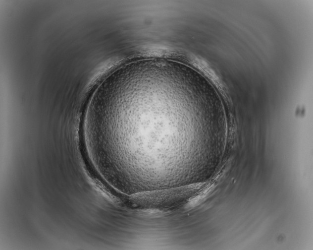 X0000098040058200804181307