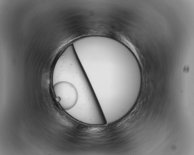 X0000098040059200804181307