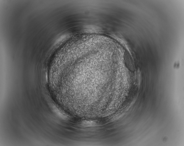 X0000098040061200804181307