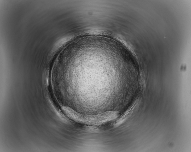 X0000098040062200804181307