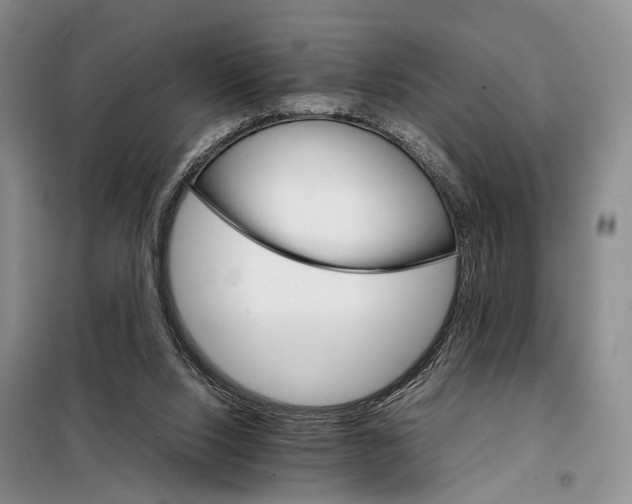 X0000098040064200804181307