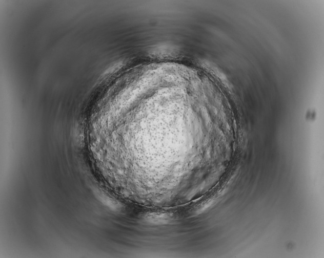 X0000098040065200804181307