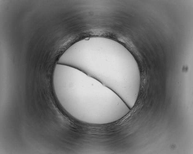 X0000098040066200804181307