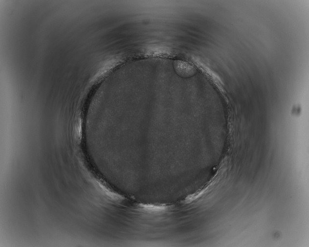 X0000098040067200804181307