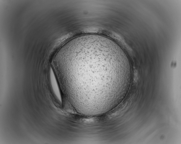 X0000098040068200804181308