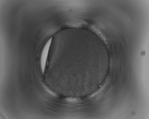 X0000098040069200804181308