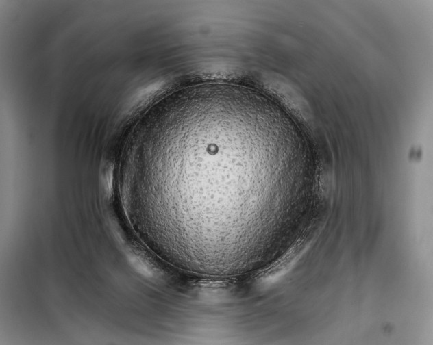 X0000098040070200804181308