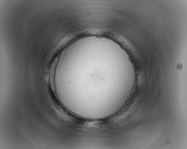 X0000098040072200804181308