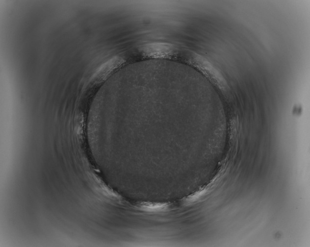 X0000098040073200804181308