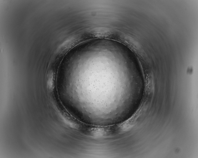 X0000098040074200804181308