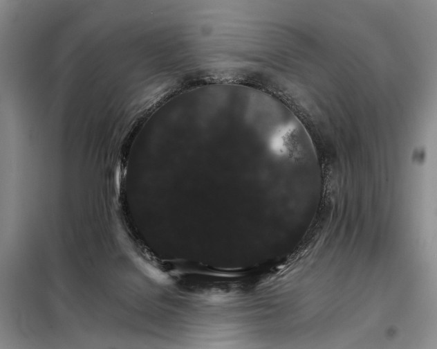 X0000098040076200804181308