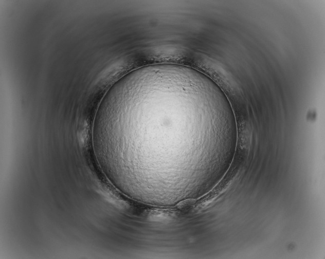 X0000098040077200804181308