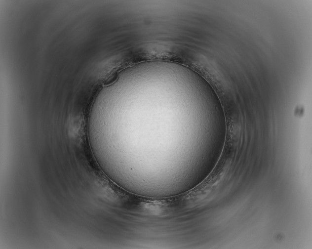 X0000098040079200804181308