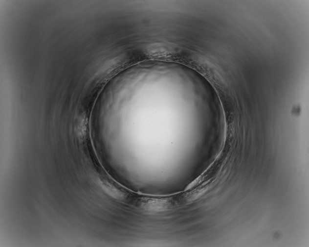 X0000098040081200804181308