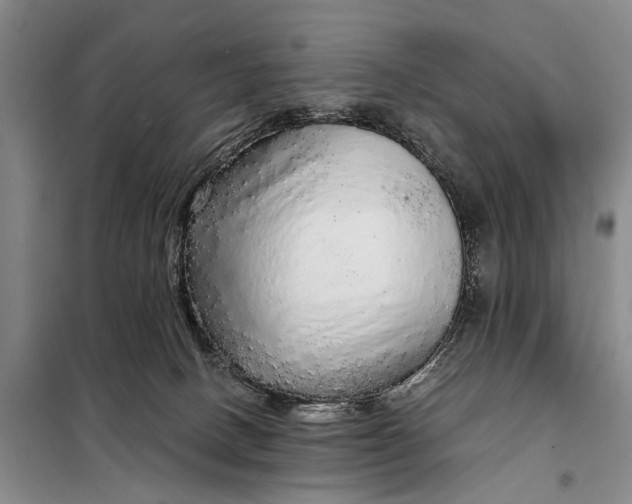 X0000098040082200804181308