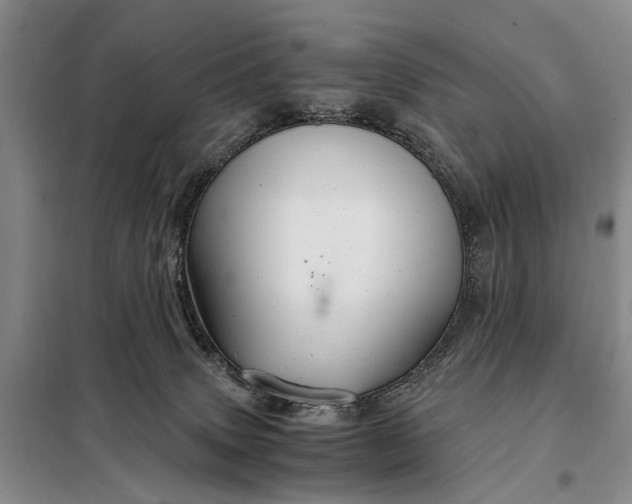 X0000098040083200804181308