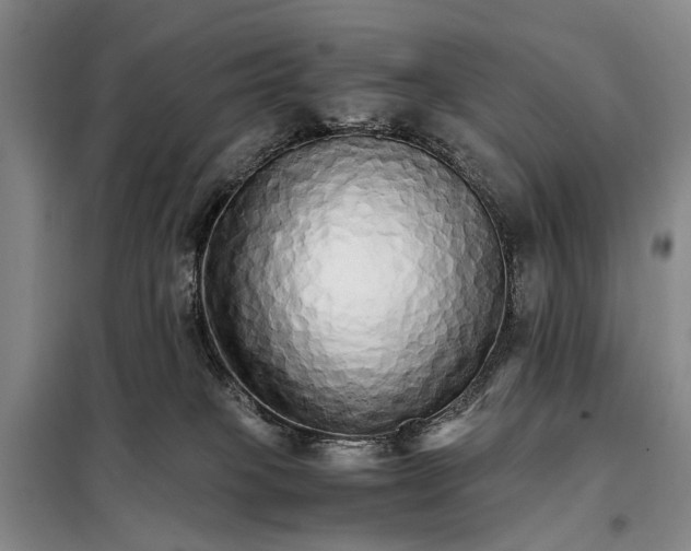 X0000098040085200804181308