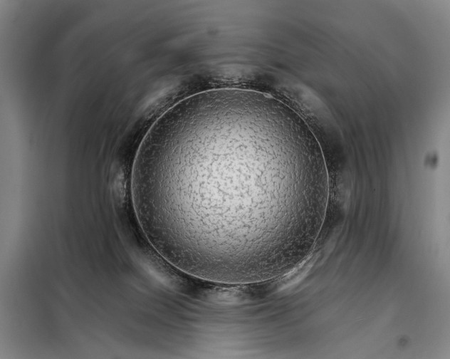 X0000098040086200804181308