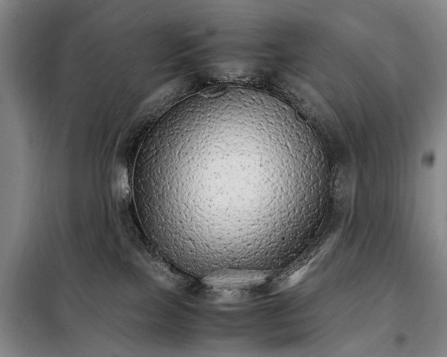 X0000098040089200804181308