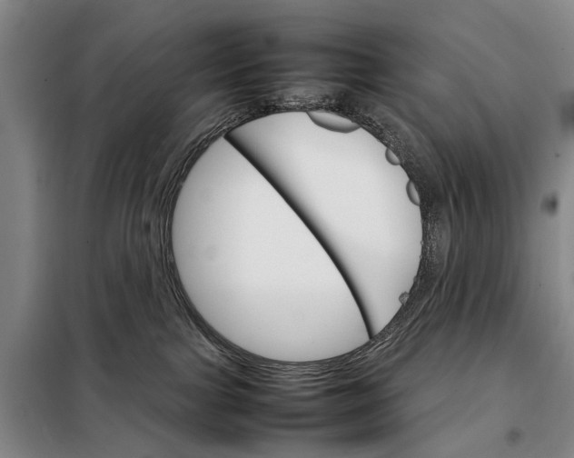 X0000098040091200804181308