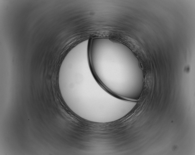 X0000098040092200804181308