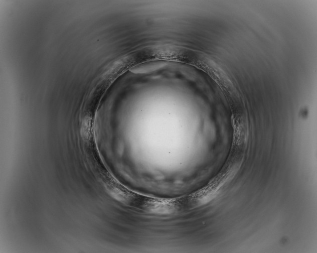 X0000098040093200804181308