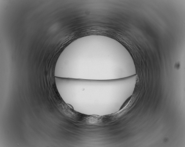 X0000098040094200804181308