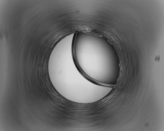 X0000098040096200804181308