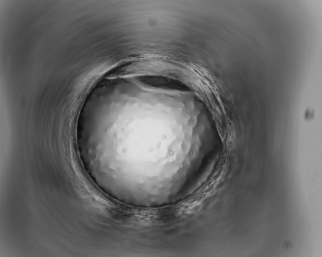 X0000098040097200804181307