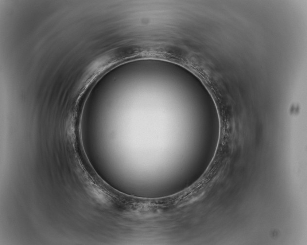 X0000098040098200804181307