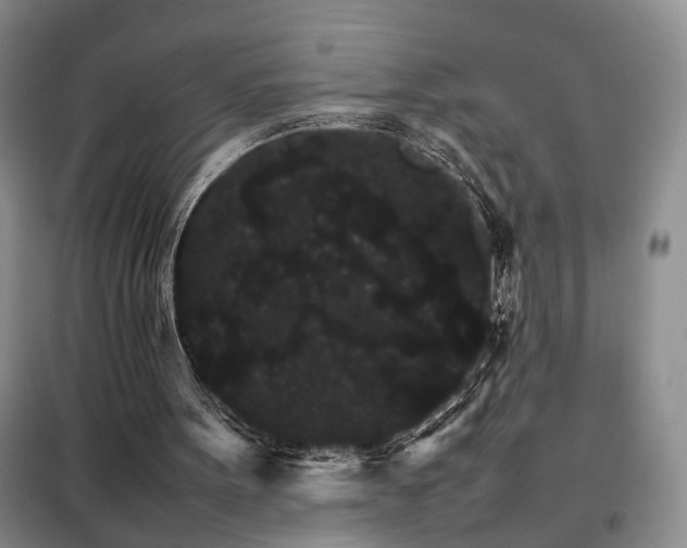 X0000098040099200804181307