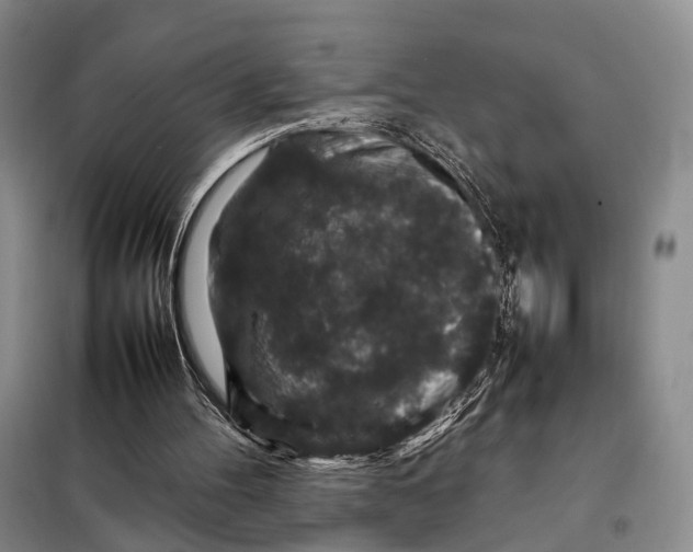 X0000098040100200804181307