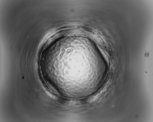 X0000098040101200804181307