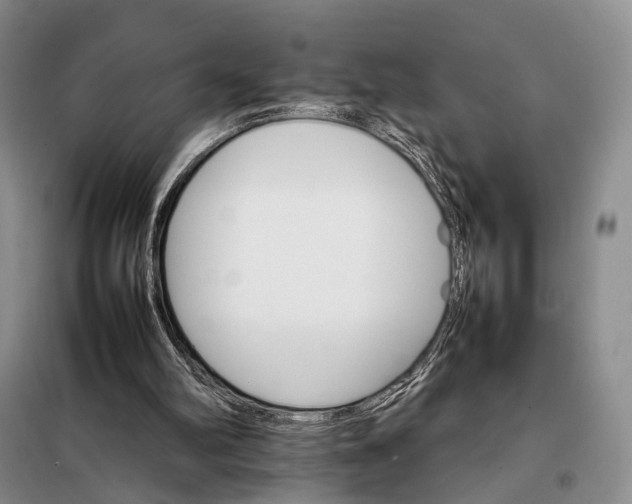 X0000098040102200804181307