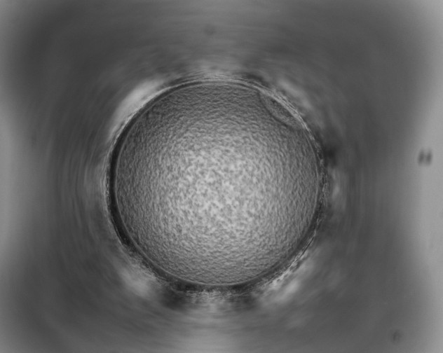 X0000098040103200804181307