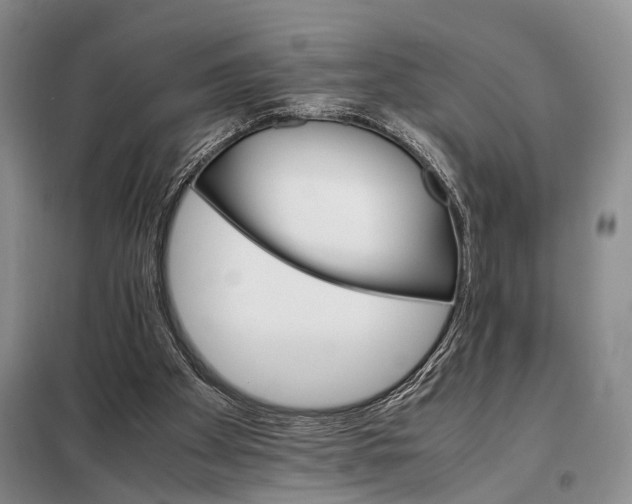 X0000098040105200804181307