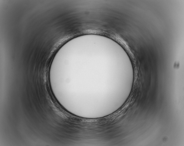 X0000098040106200804181307