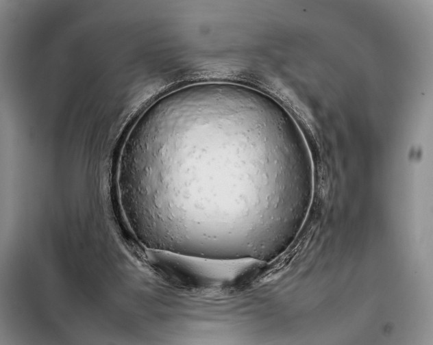 X0000098040107200804181307