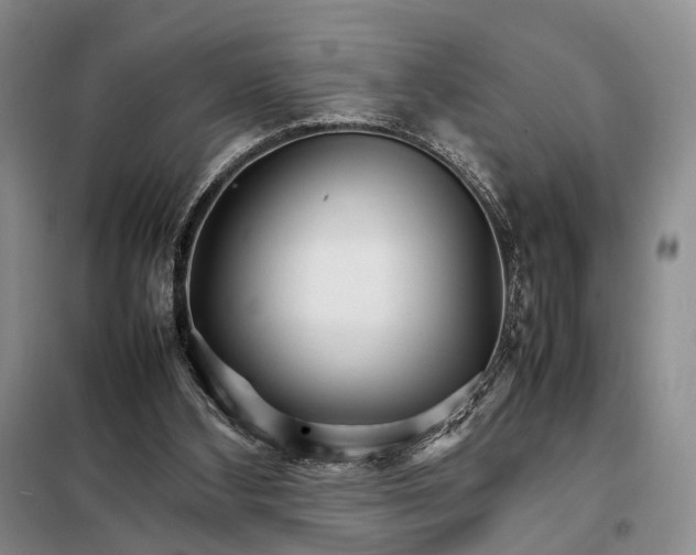 X0000098040108200804181307