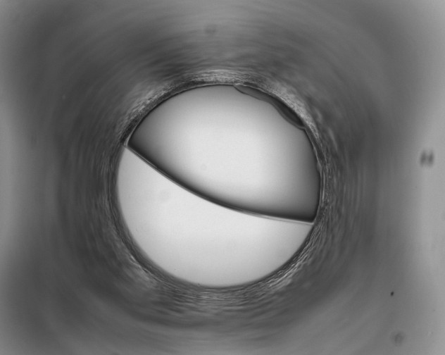 X0000098040109200804181307